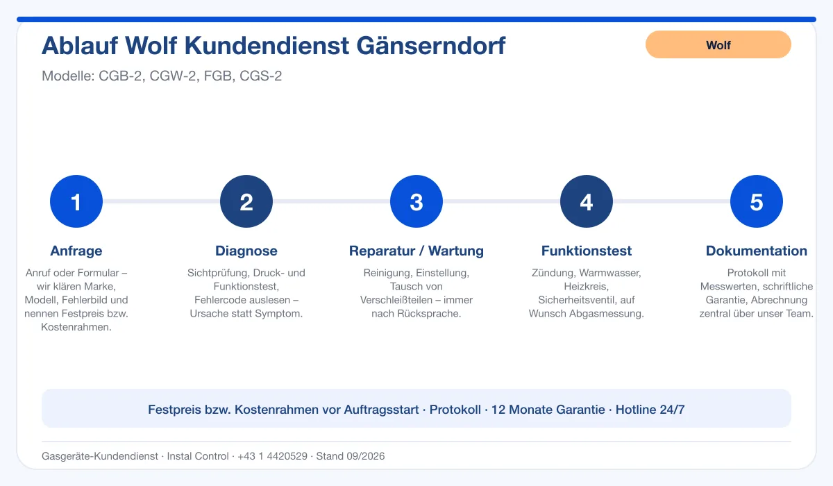Infografik Ablauf Wolf Kundendienst Gänserndorf: Anfrage, Diagnose, Service, Funktionstest, Protokoll