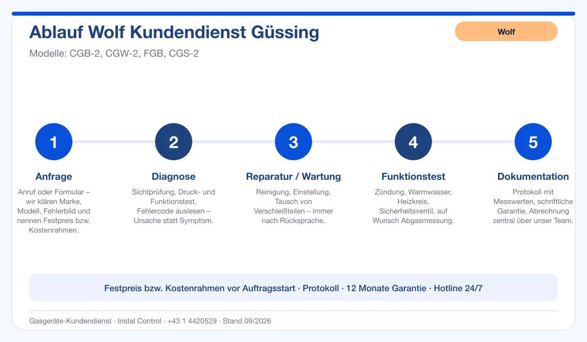 Infografik Ablauf Wolf Kundendienst Güssing: Anfrage, Diagnose, Service, Funktionstest, Protokoll