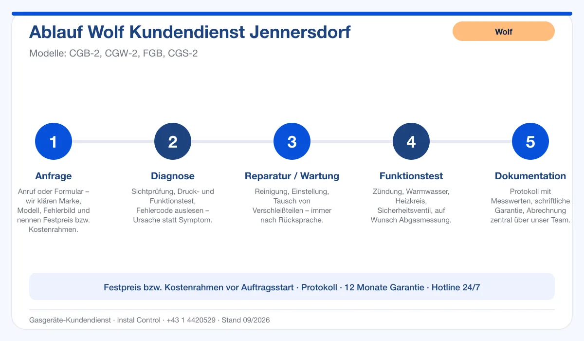 Infografik Ablauf Wolf Kundendienst Jennersdorf: Anfrage, Diagnose, Service, Funktionstest, Protokoll