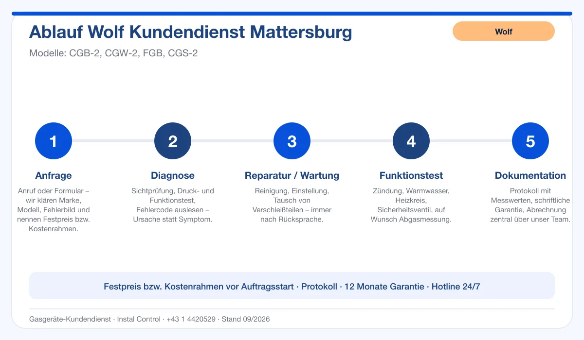 Infografik Ablauf Wolf Kundendienst Mattersburg: Anfrage, Diagnose, Service, Funktionstest, Protokoll