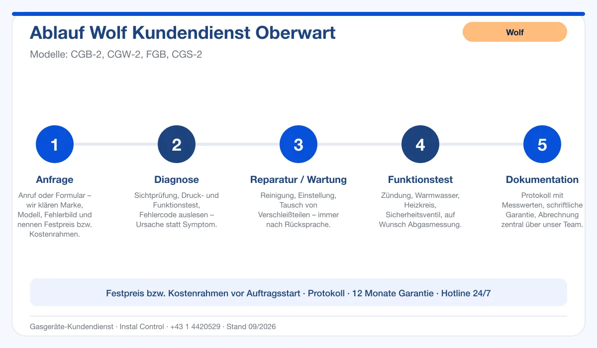 Infografik Ablauf Wolf Kundendienst Oberwart: Anfrage, Diagnose, Service, Funktionstest, Protokoll