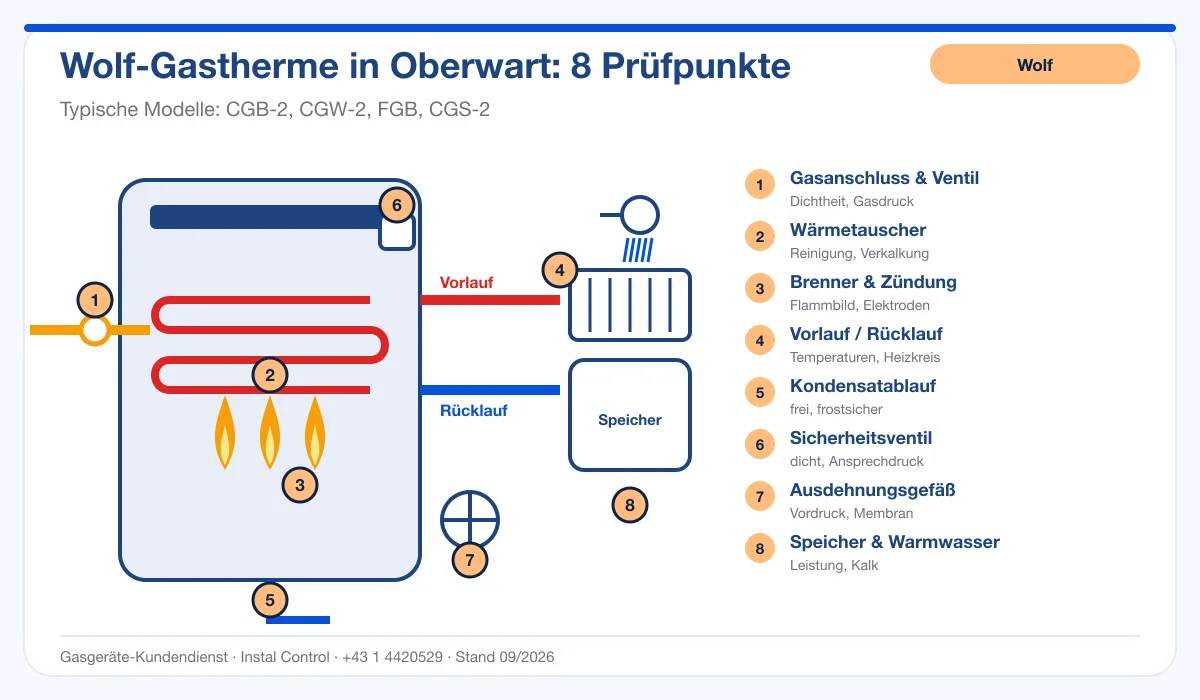 Infografik Wolf Kundendienst Oberwart: Aufbau einer Wolf-Gastherme mit 8 Prüfpunkten