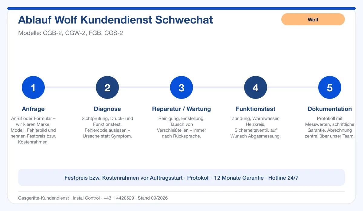 Infografik Ablauf Wolf Kundendienst Schwechat: Anfrage, Diagnose, Service, Funktionstest, Protokoll
