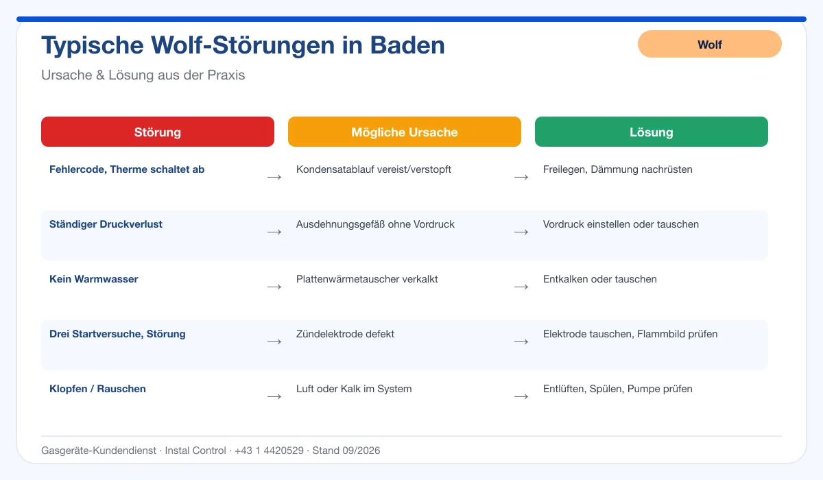 Infografik Wolf Thermenreparatur Baden: typische Störungen, Ursachen und Lösungen
