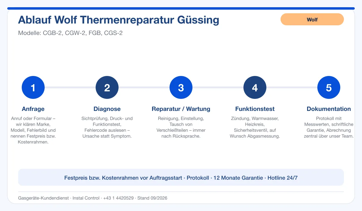 Infografik Ablauf Wolf Thermenreparatur Güssing: Anfrage, Diagnose, Service, Funktionstest, Protokoll