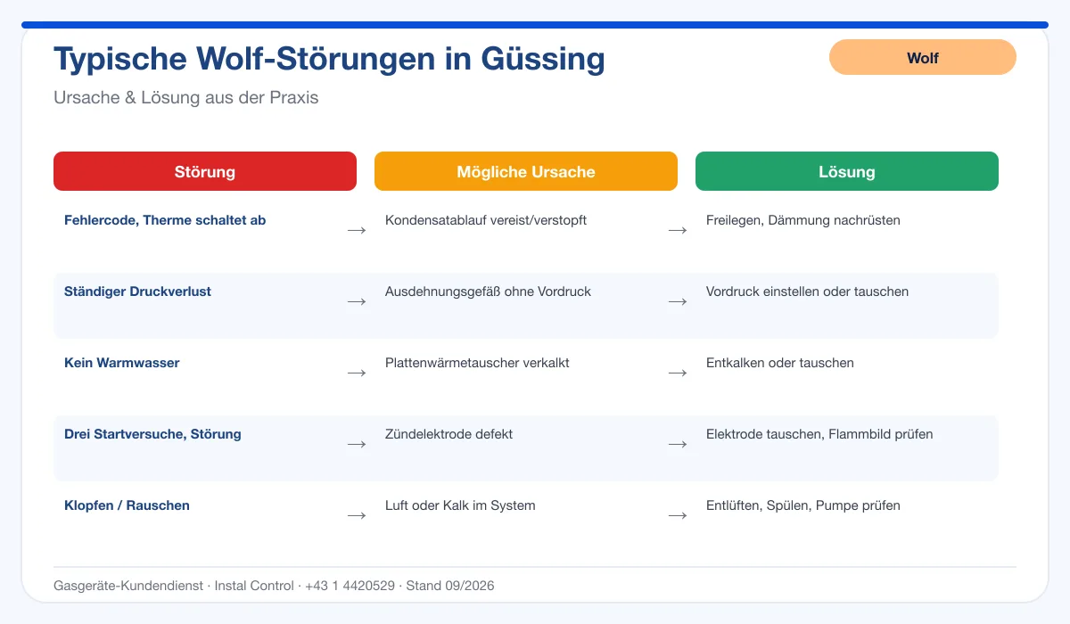 Infografik Wolf Thermenreparatur Güssing: typische Störungen, Ursachen und Lösungen