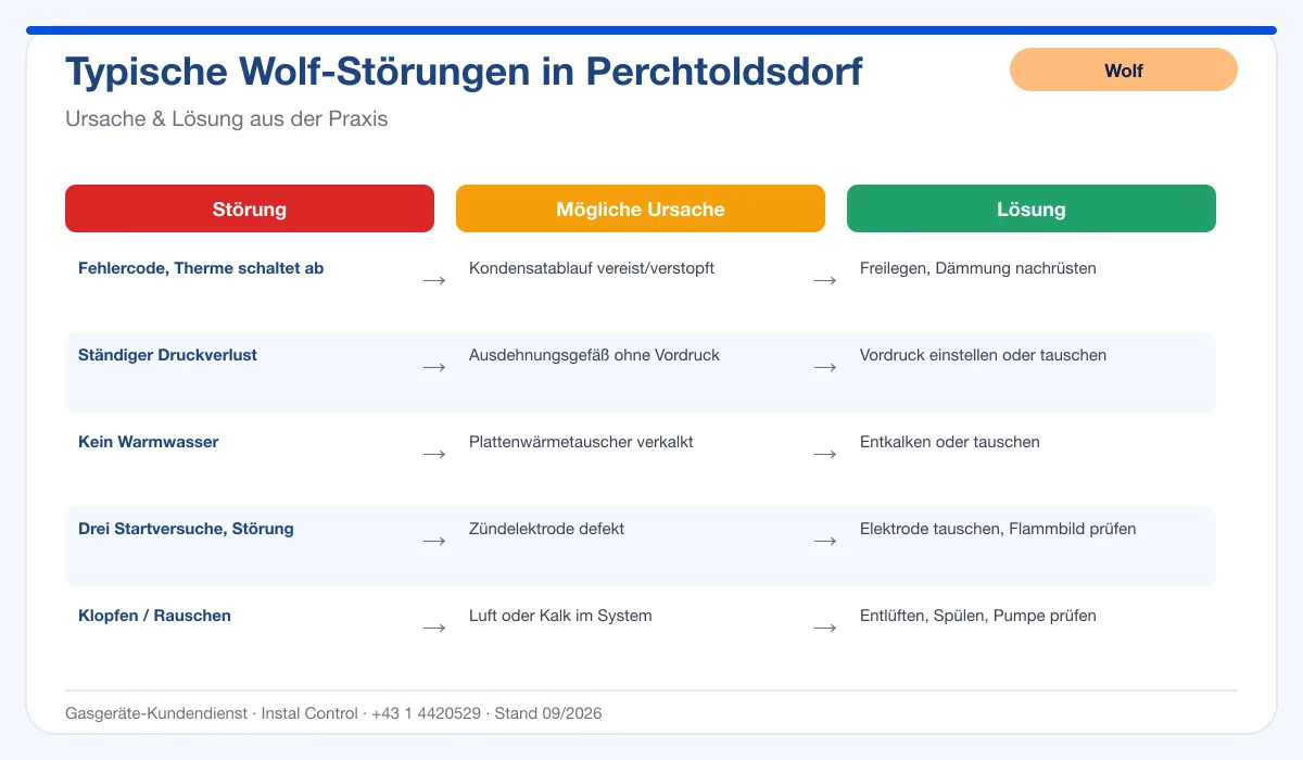 Infografik Wolf Thermenreparatur Perchtoldsdorf: typische Störungen, Ursachen und Lösungen