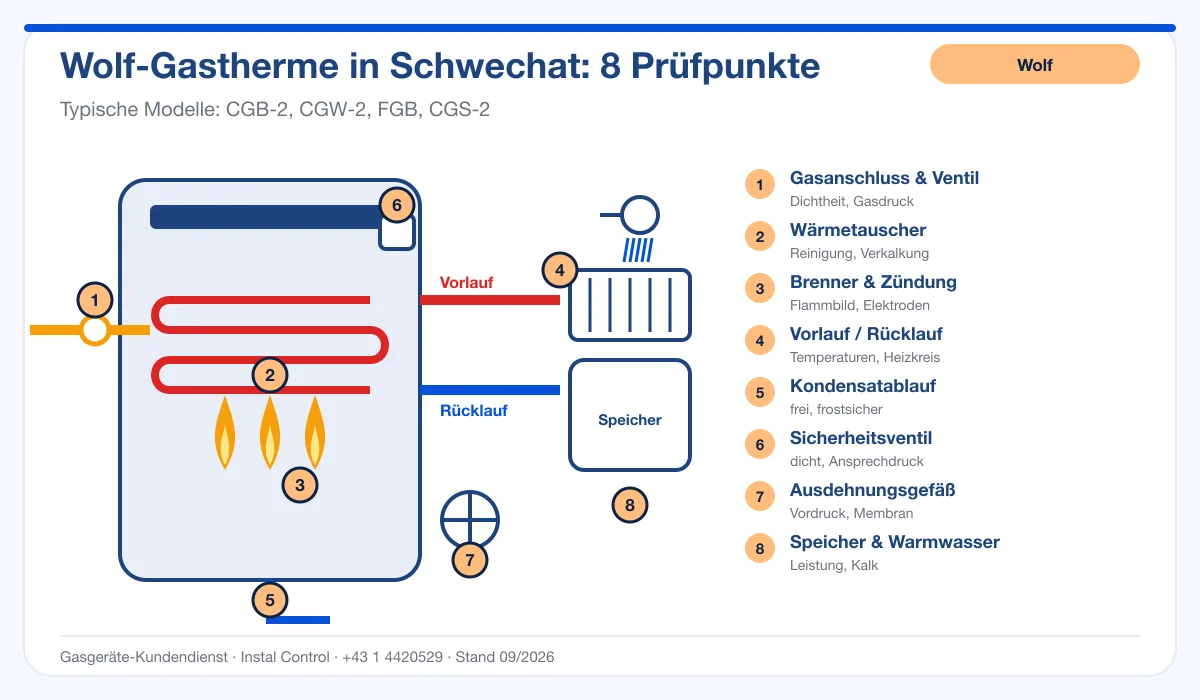 Infografik Wolf Thermenreparatur Schwechat: Aufbau einer Wolf-Gastherme mit 8 Prüfpunkten