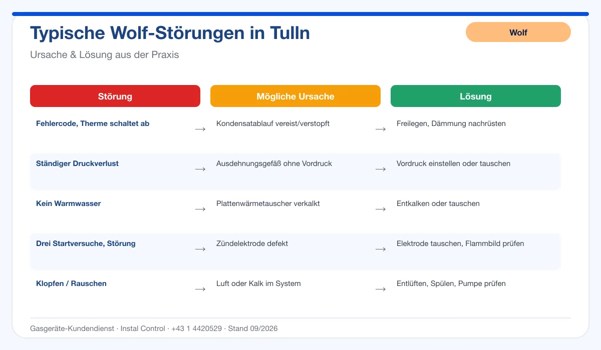 Infografik Wolf Thermenreparatur Tulln: typische Störungen, Ursachen und Lösungen