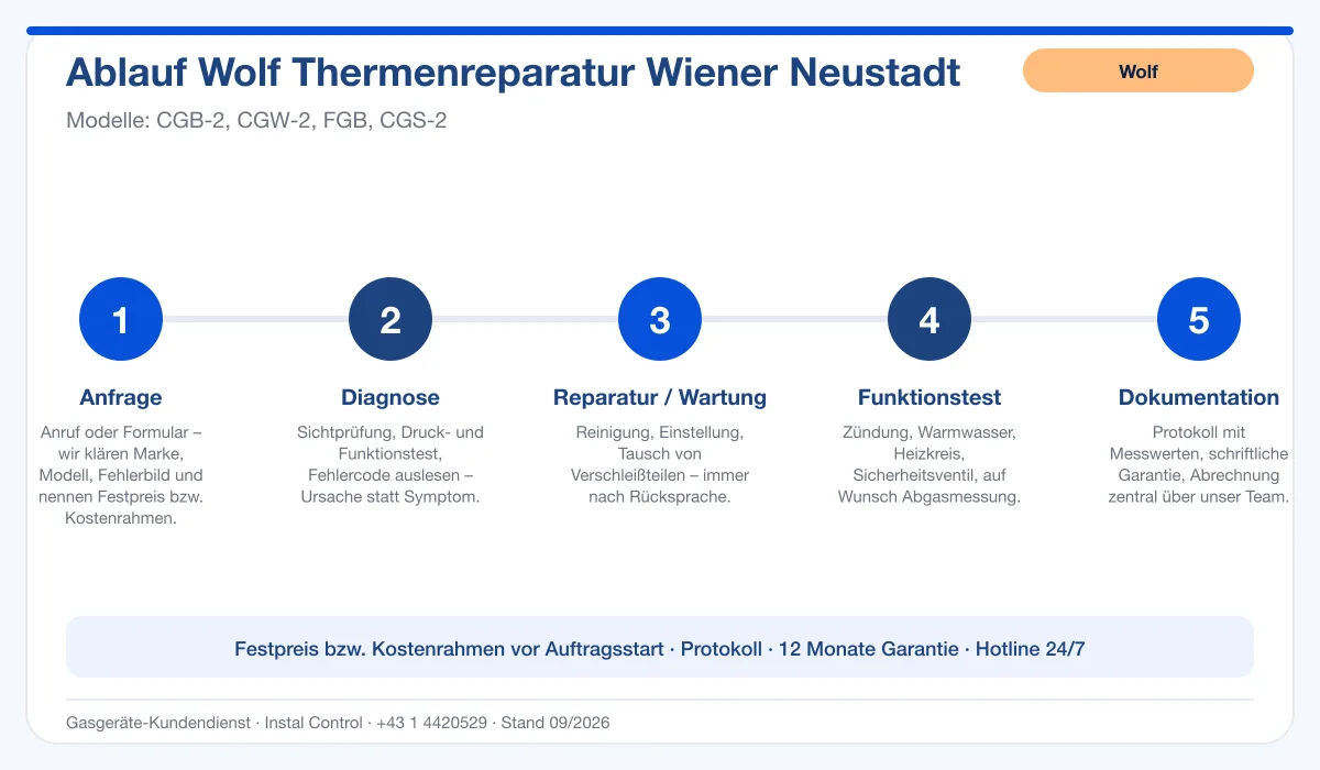 Infografik Ablauf Wolf Thermenreparatur Wiener Neustadt: Anfrage, Diagnose, Service, Funktionstest, Protokoll