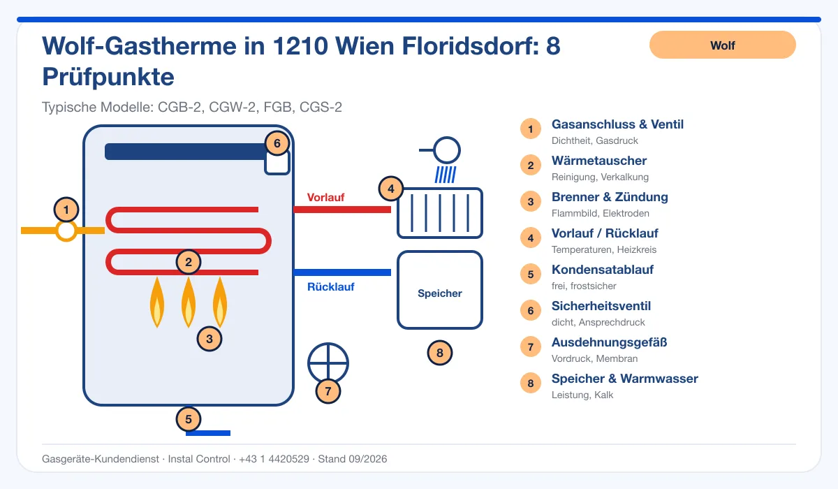 Infografik Wolf Thermenwartung 1210 Wien Floridsdorf: Aufbau einer Wolf-Gastherme mit 8 Prüfpunkten