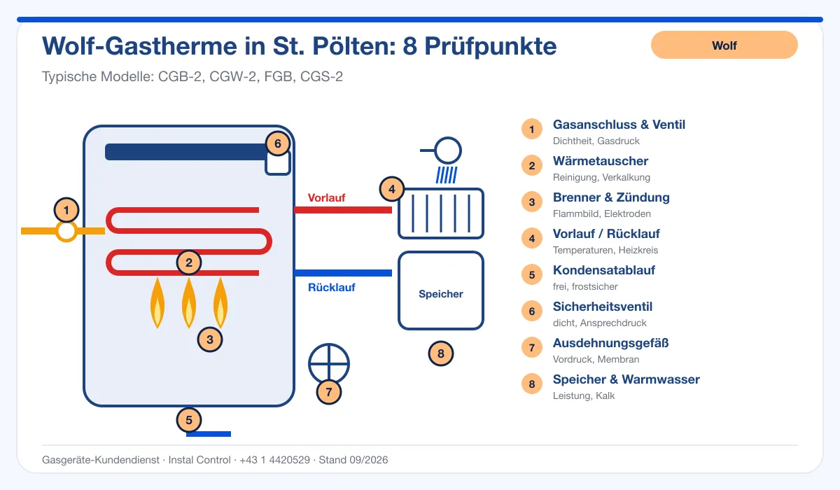 Infografik Wolf Thermenwartung St. Pölten: Aufbau einer Wolf-Gastherme mit 8 Prüfpunkten